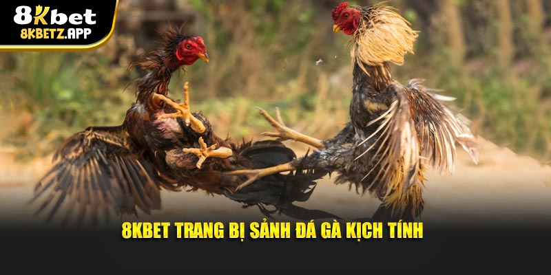 8KBET trang bị sảnh đá gà kịch tính